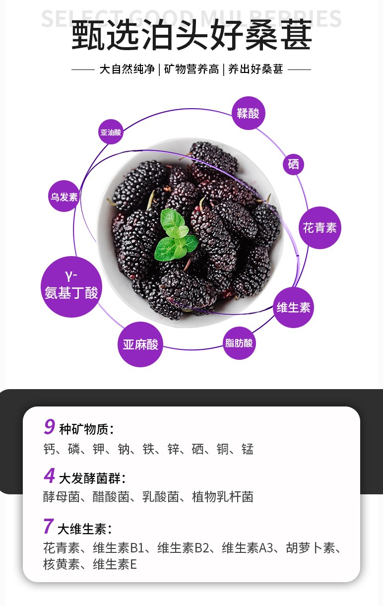 桑葚酵素袋裝30ML