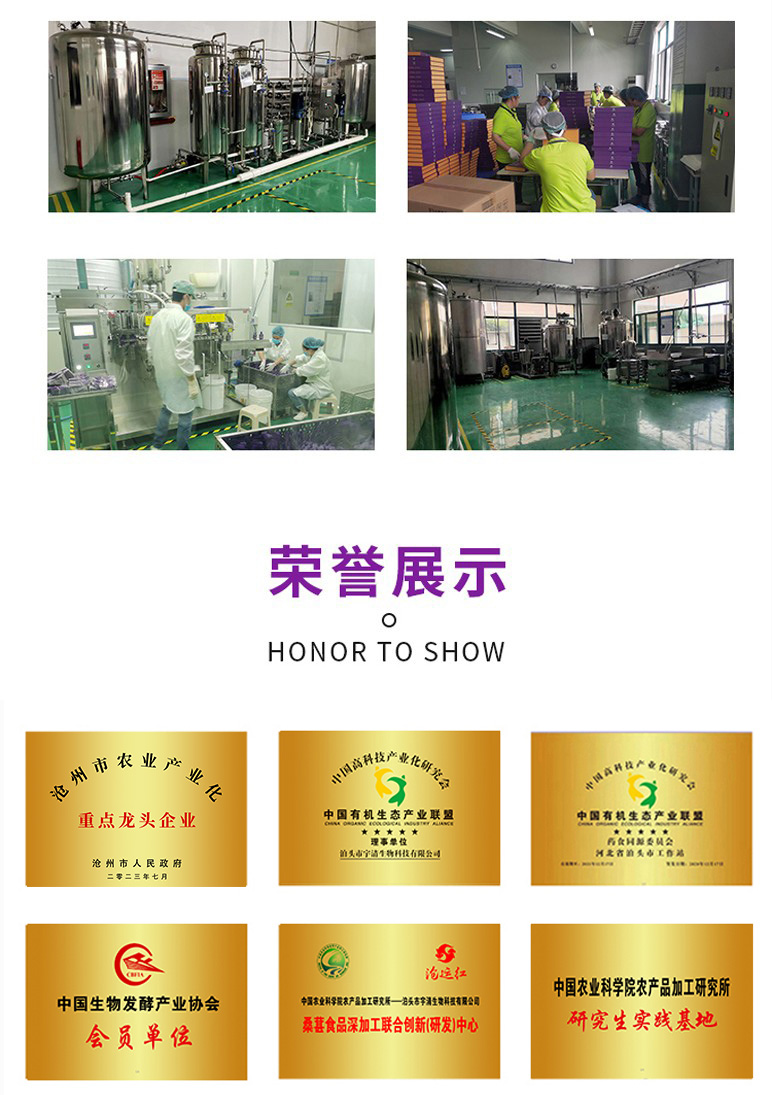 桑葚酵素袋裝30ML