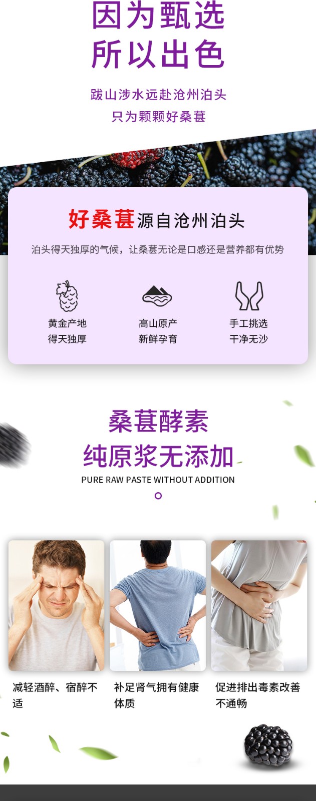 桑葚酵素瓶裝20ML