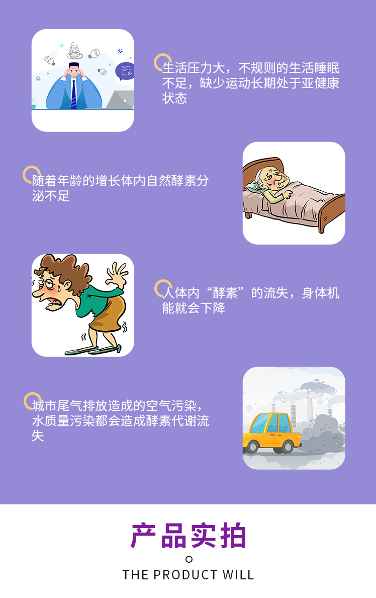 桑葚酵素瓶裝20ML