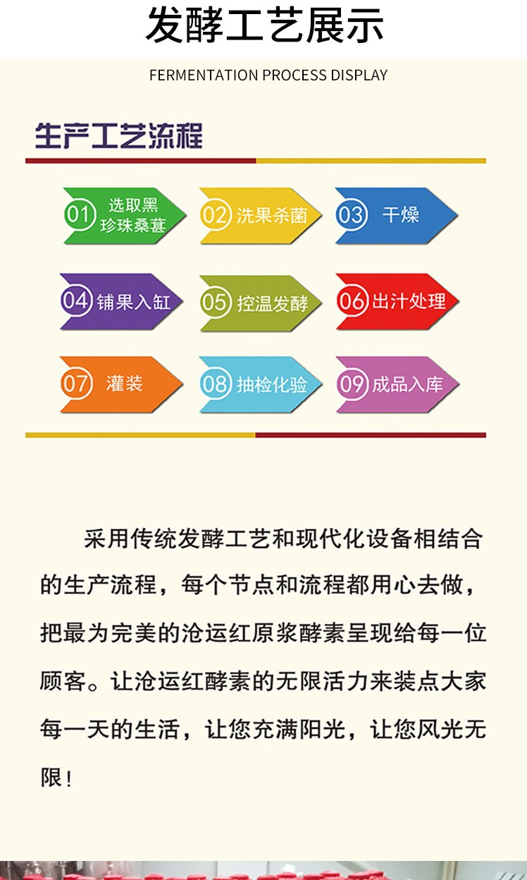 桑葚酵素瓶裝20ML