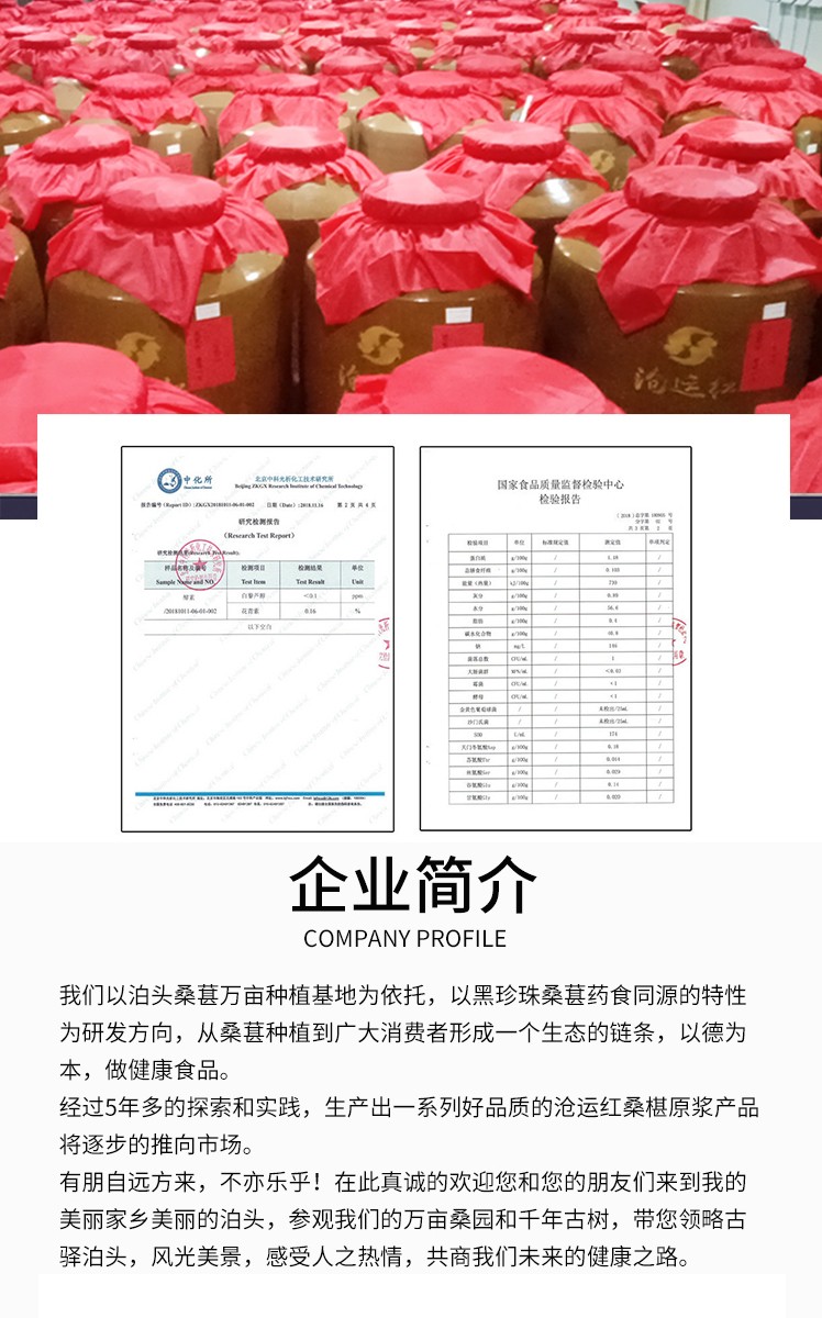 桑葚酵素瓶裝20ML