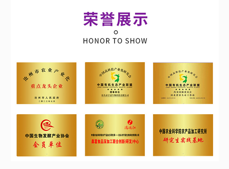 桑葚酵素瓶裝20ML